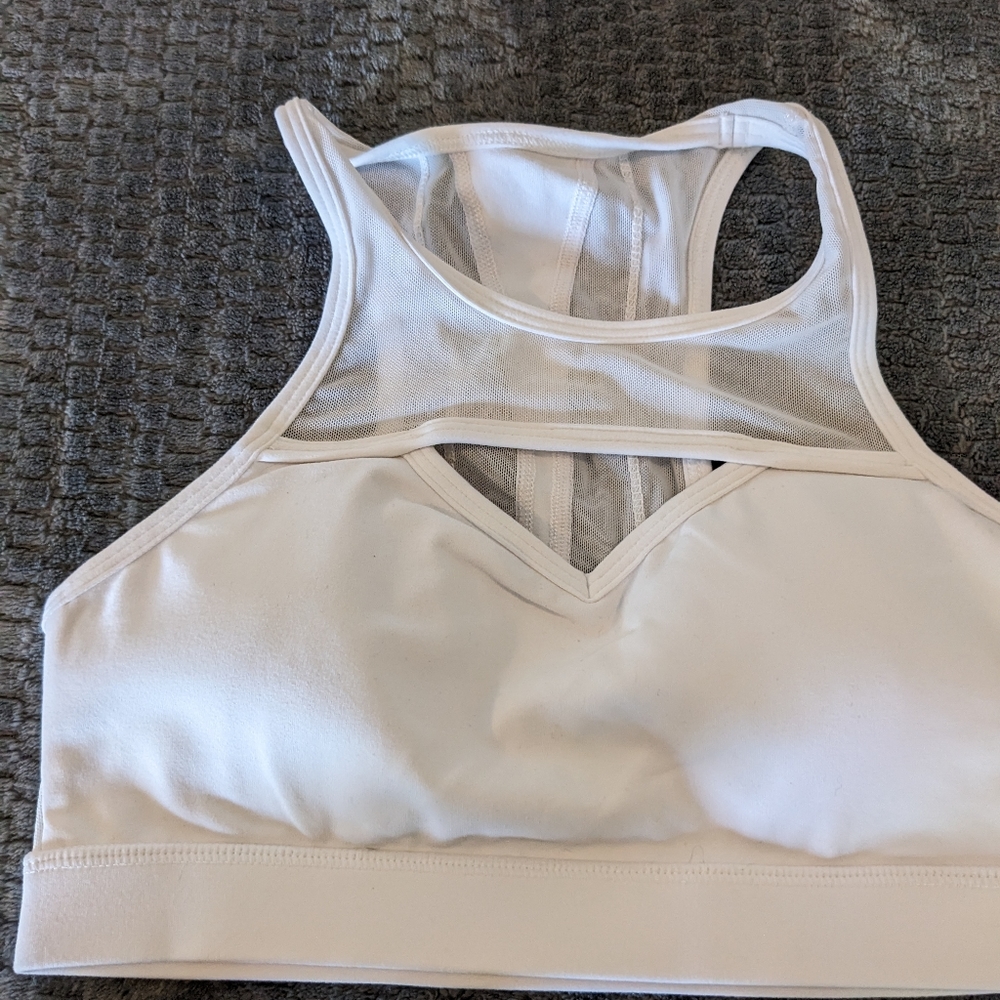 Buffbunny Ambrosia Sports Bra
